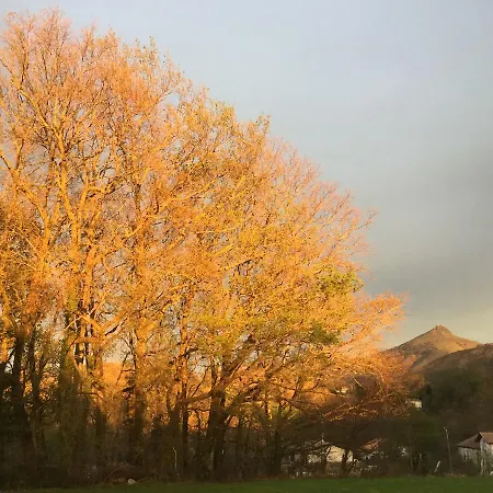 Apitoki - D'hotes Au Pays Basque Couette-café Urrugne