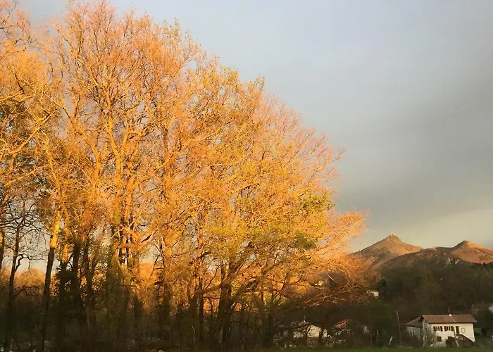 Apitoki - D'hotes Au Pays Basque Bed & Breakfast Urrugne