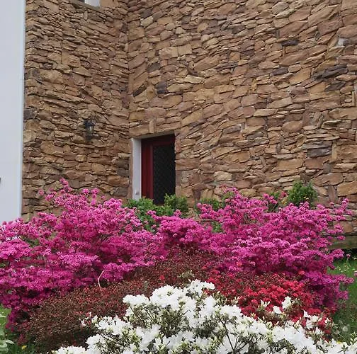 Apitoki - D'hotes Au Pays Basque Bed & Breakfast Urrugne